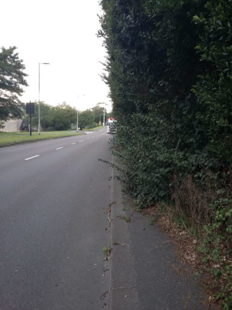 A path blocked by overgrown hedge
